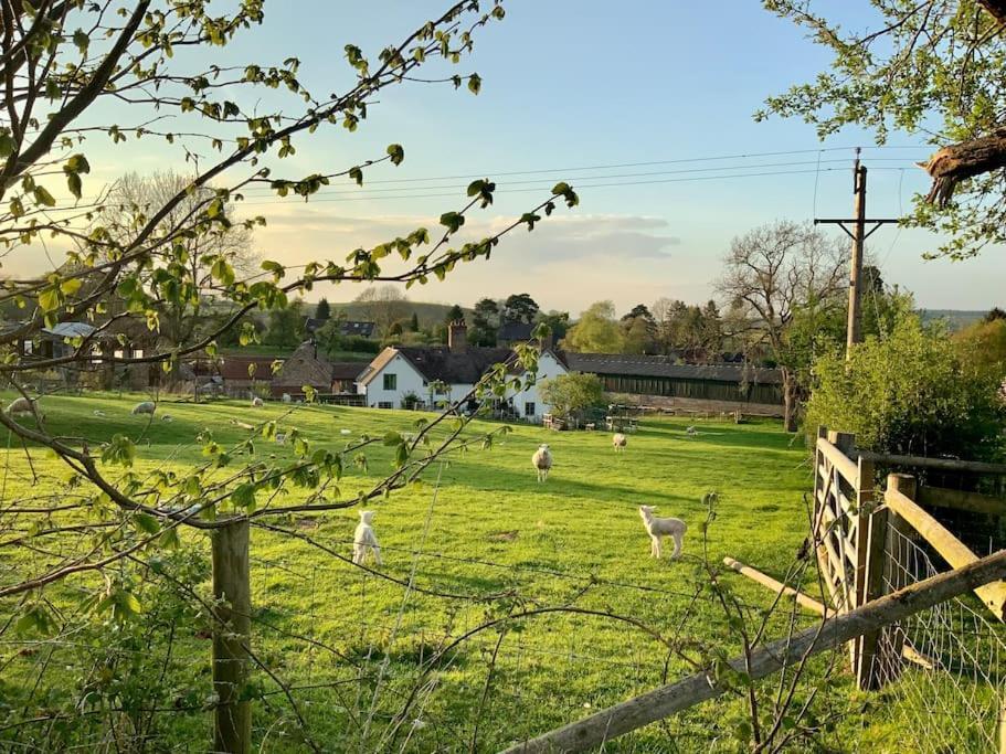 Ferienwohnung The Cart House - Beautiful Contemporary Barn - Hot Tub Bridgnorth Exterior foto